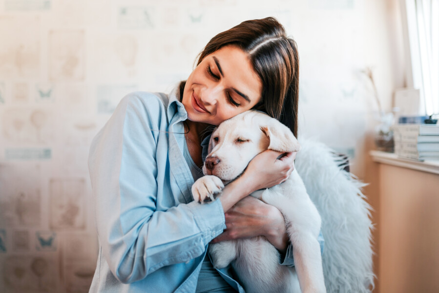dia-dos-animais-europ-assistance-reafirma-seu-engajamento-com-a-saude-dos-pets