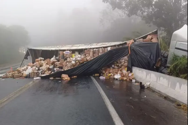'indenizacao-por-saque-de-carga-apos-colisao-na-br-376-e-possivel-mas-segurado-deve-permanecer-no-local'
