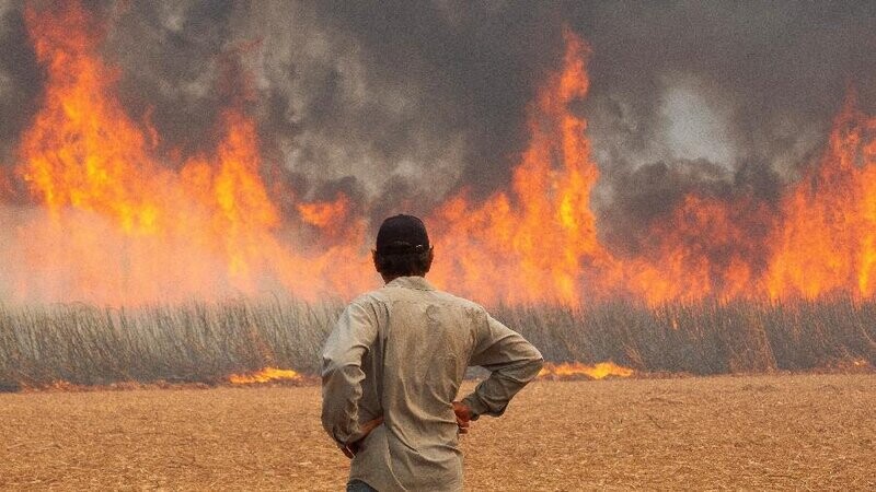 seguradoras-ainda-calculam-perdas-com-incendios