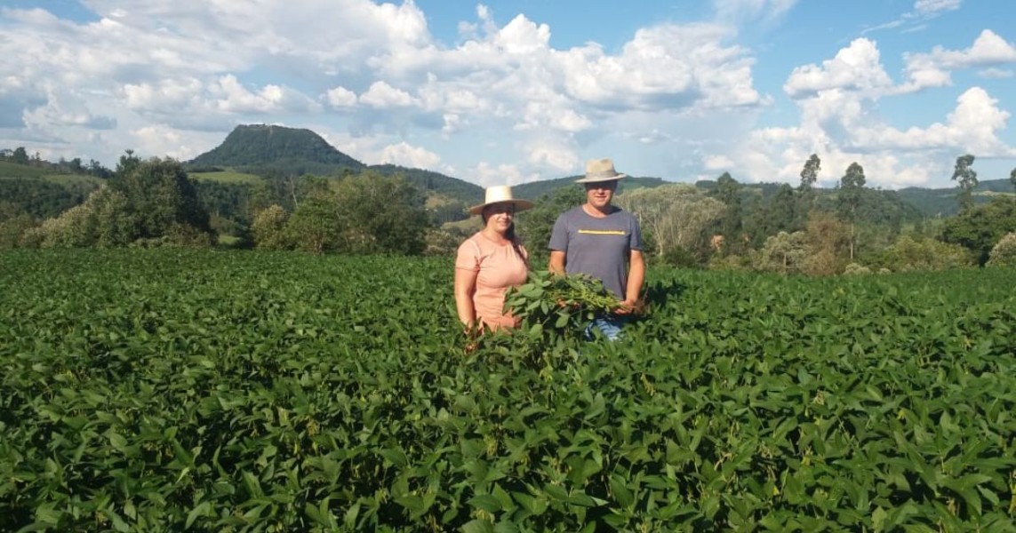 desastres-naturais-impulsionam-contratacao-de-seguro-rural-em-sc